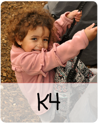 K4 Program